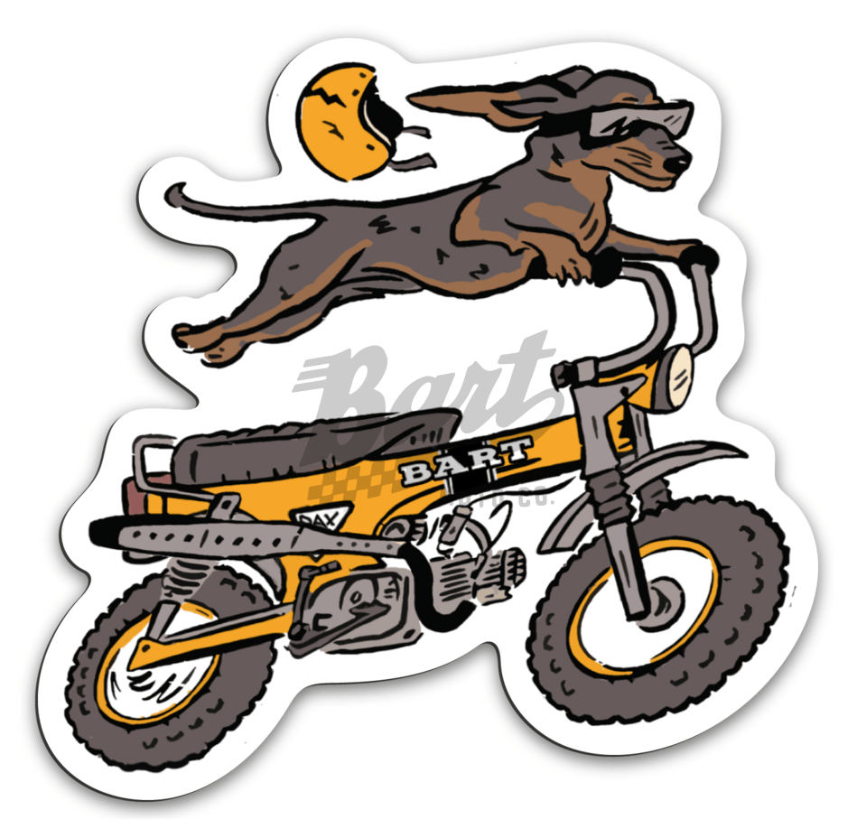 Dachshund Racer Magnet