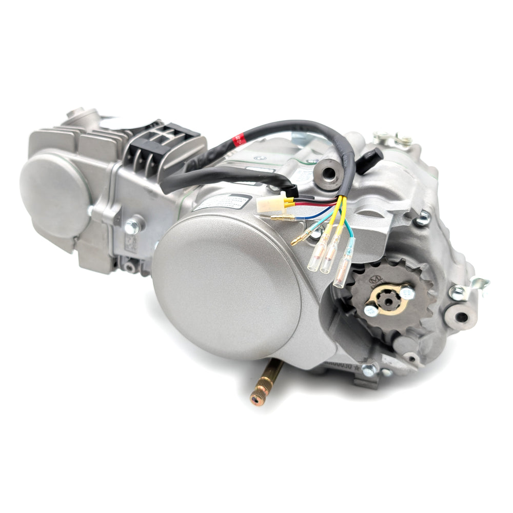 ZS125 125cc High Output Engine (Motor Base Kit)